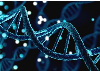 Role of Genetics in the Healthcare