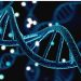 Role of Genetics in the Healthcare