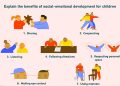 social-emotional development