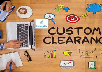 Demystifying Customs Clearance: A Guide to Hassle-Free Freight Processing