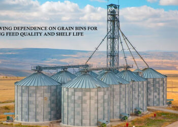 The Growing Dependence on Grain Bins for Improving Feed Quality and Shelf Life