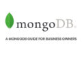 A MongoDB Guide for Business Owners