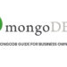 A MongoDB Guide for Business Owners