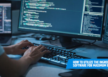 How to Utilize the Ingredients of Software for Maximum Efficiency