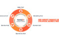 How HubSpot Managed Services Streamline Business Processes