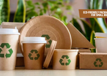Eco-Friendly Packaging Solutions for Small Businesses