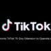 Trump Grants TikTok 75-Day Extension to Operate in the U.S.