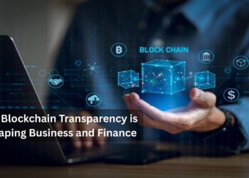 Blockchain Transparency