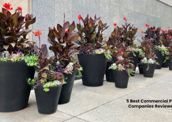 Planters Companies Reviewed