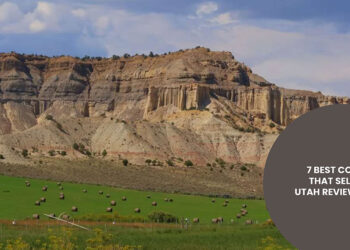 7 Best Companies That Sell Land in Utah Reviewed 2025