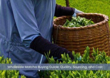 Wholesale Matcha Buying Guide